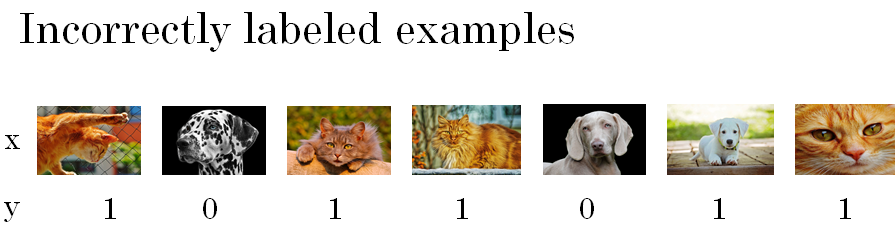 incorrectly-labeled-examples