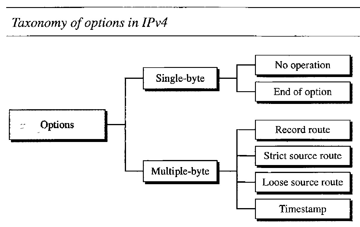 Options in IPv4