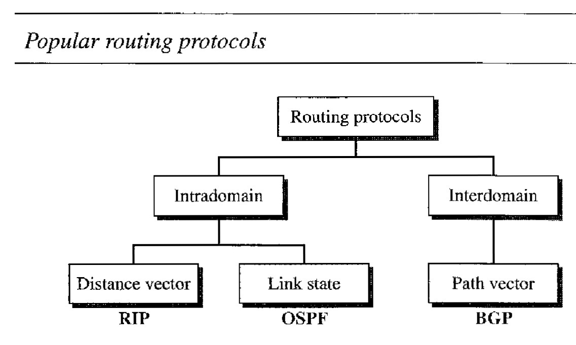 routing-protocols
