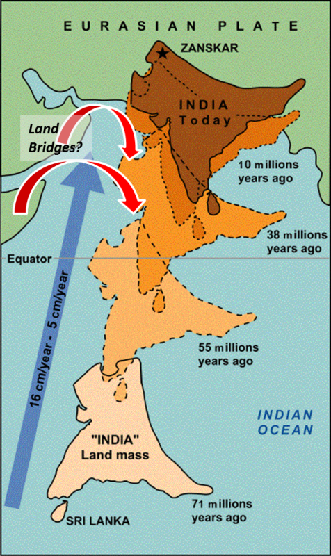 indian plate tectonics