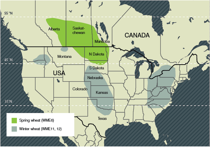 Wheat producing areas of US and Canada