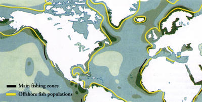Major fishing grounds on World