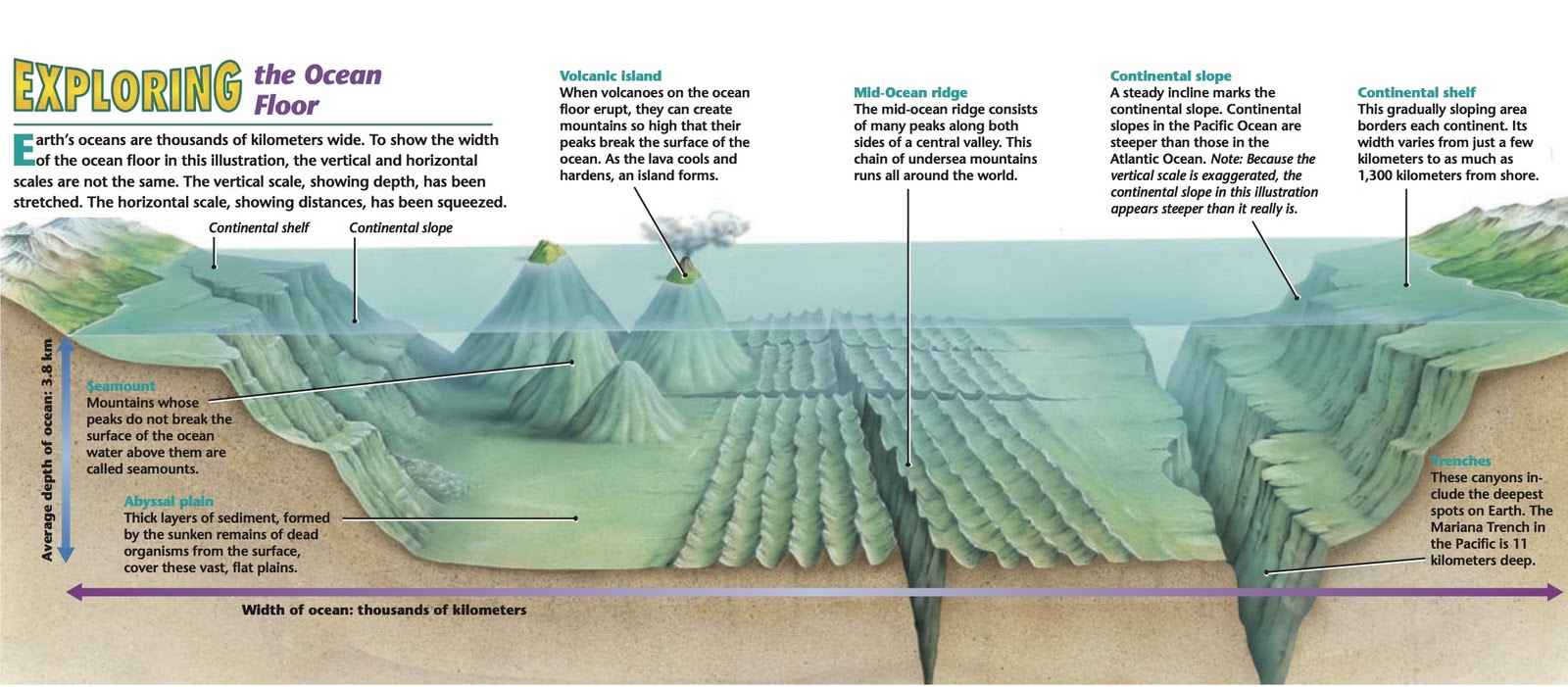 ocean floor of the world