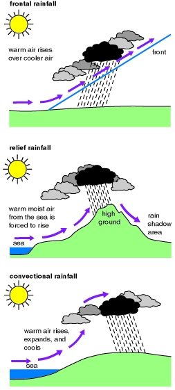 types of rainfall