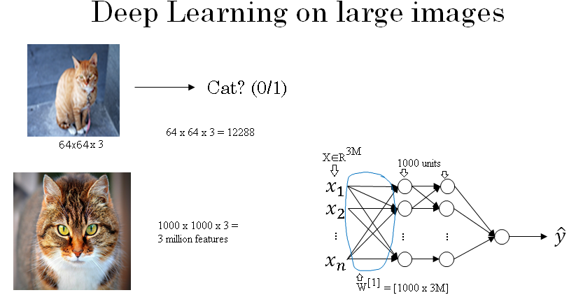 computer-vision-problems deep-learning-on-images