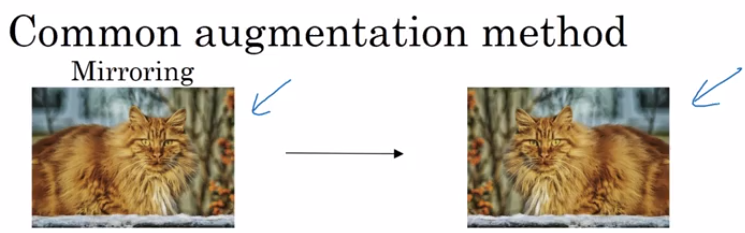 mirroring-data-augmentation