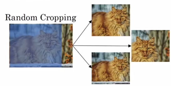 random-cropping-data-augmentation