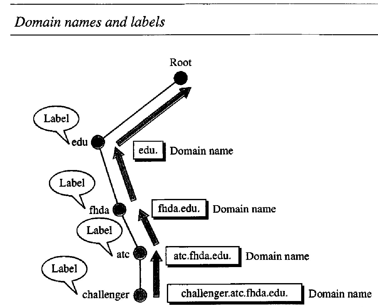 Domain Name System - DOMAIN NAME SPACE