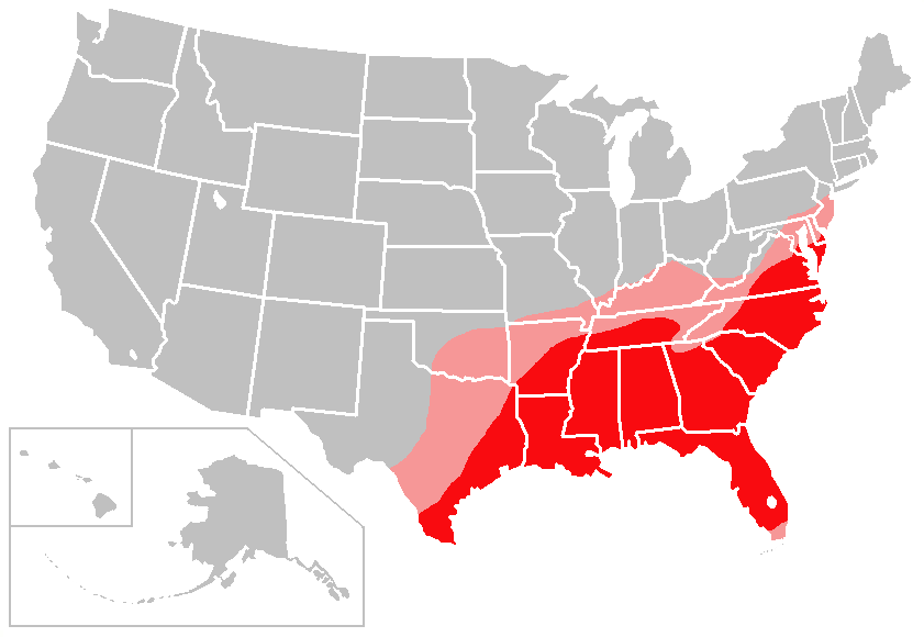 Cotton belt in USA