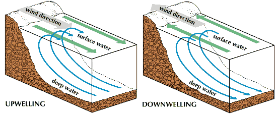 upwelling and downwelling of waves