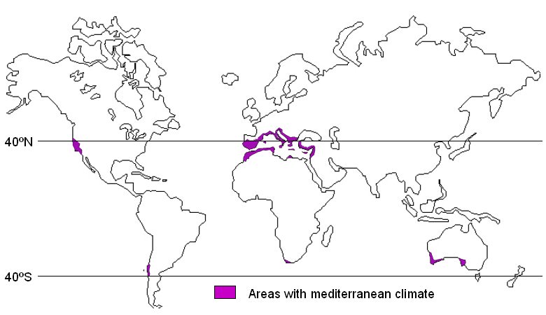western margin climate region map