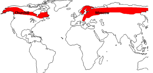 Siberian region map