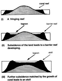 Darwins theory on reef formation