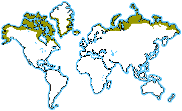 tundra region map