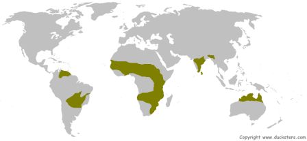 Tropical grassland climate region map