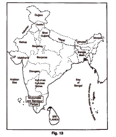 Pastorals communities in India